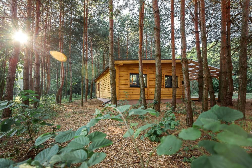 Уліс Дудки Котеджі Dudky Exterior photo